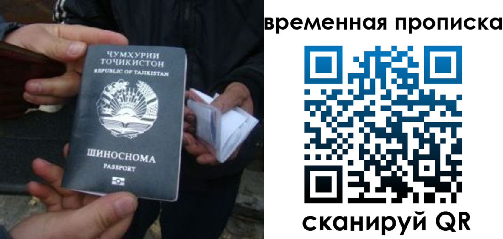 прописка законно в Куровском